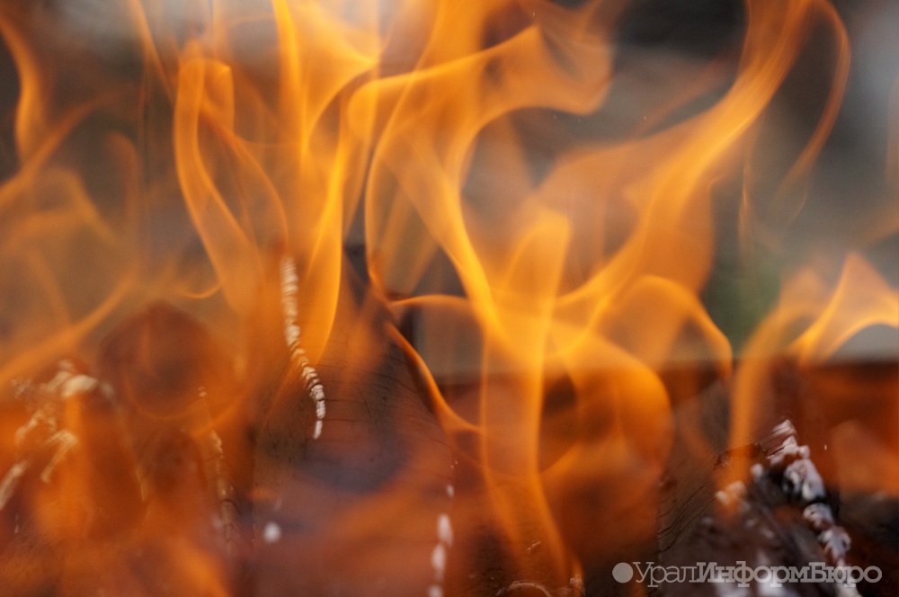 Свердловские спасатели опасаются всплеска природных пожаров в мае