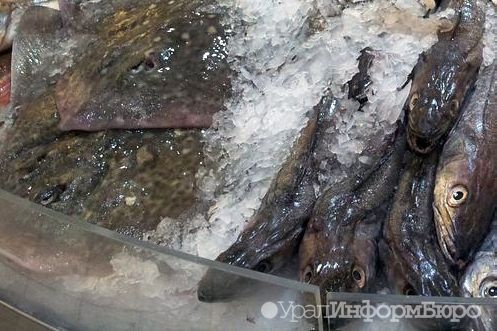 Линию шоковой заморозки рыбы запустили в Тюменской области
