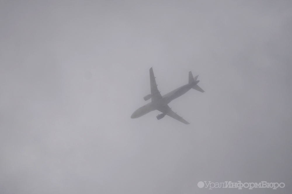 В Челябинске экстренно сел самолет из Сочи