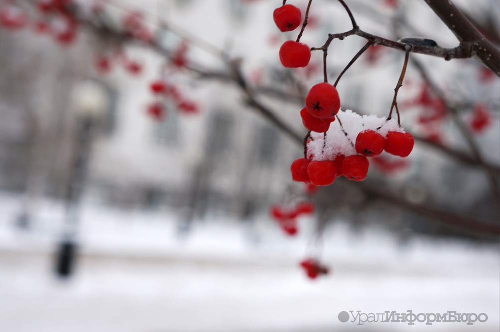 Челябинская область встретила морозы 