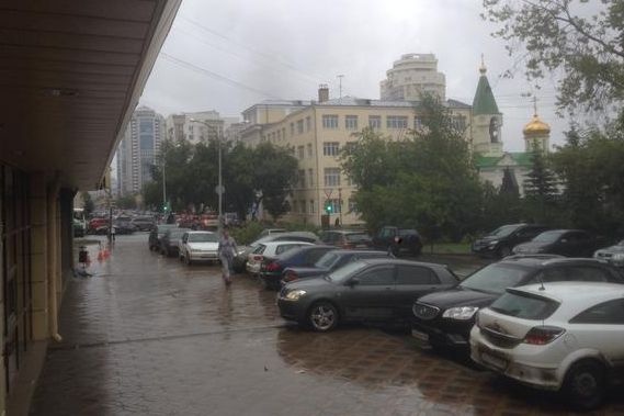 Екатеринбургским автомобилистам перегородило дорогу дерево 