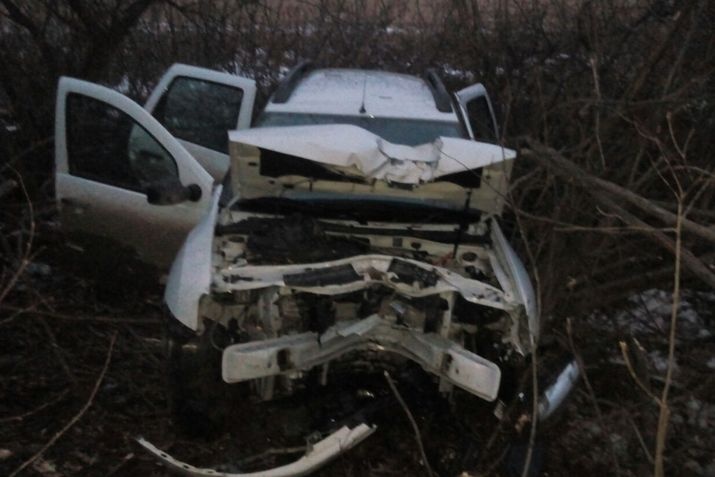 Под Алапаевском Renault Duster влетел в дерево - погибла пассажирка