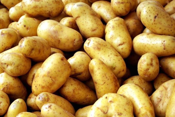 Россия отказалась от украинской картошки