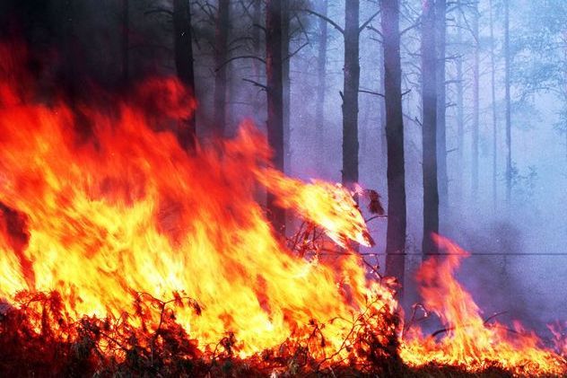 Лесные пожары отвадят южноуральцев от пикников на природе 