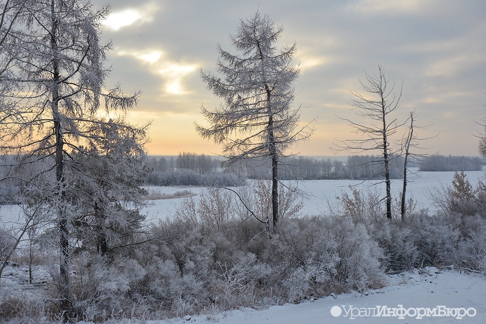 Тридцатиградусный мороз укутает Средний Урал снежком