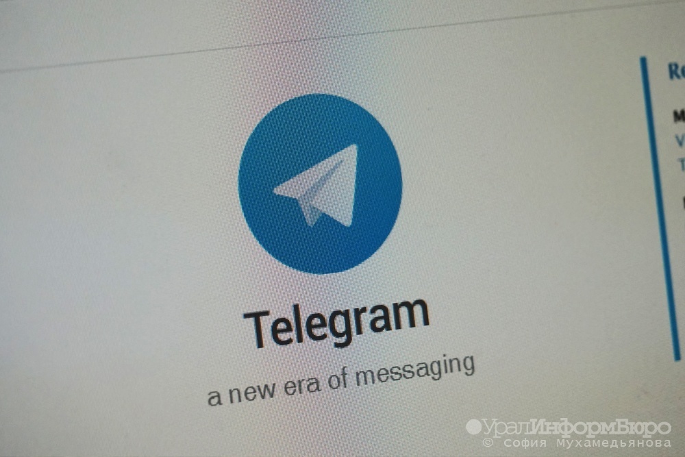 Российский депутат объяснил, почему Telegram избежит участи Facebook