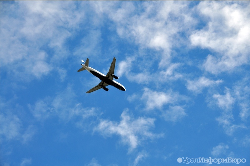 Суслики не дали самолету приземлиться в аэропорту Самары 