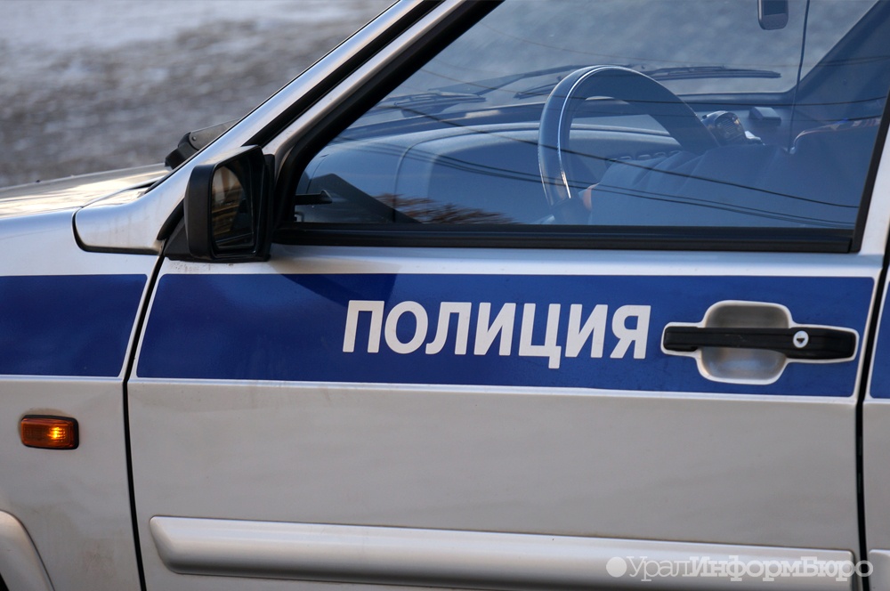 В Екатеринбурге задержали мужчин, устроивших заезд по городу на санках