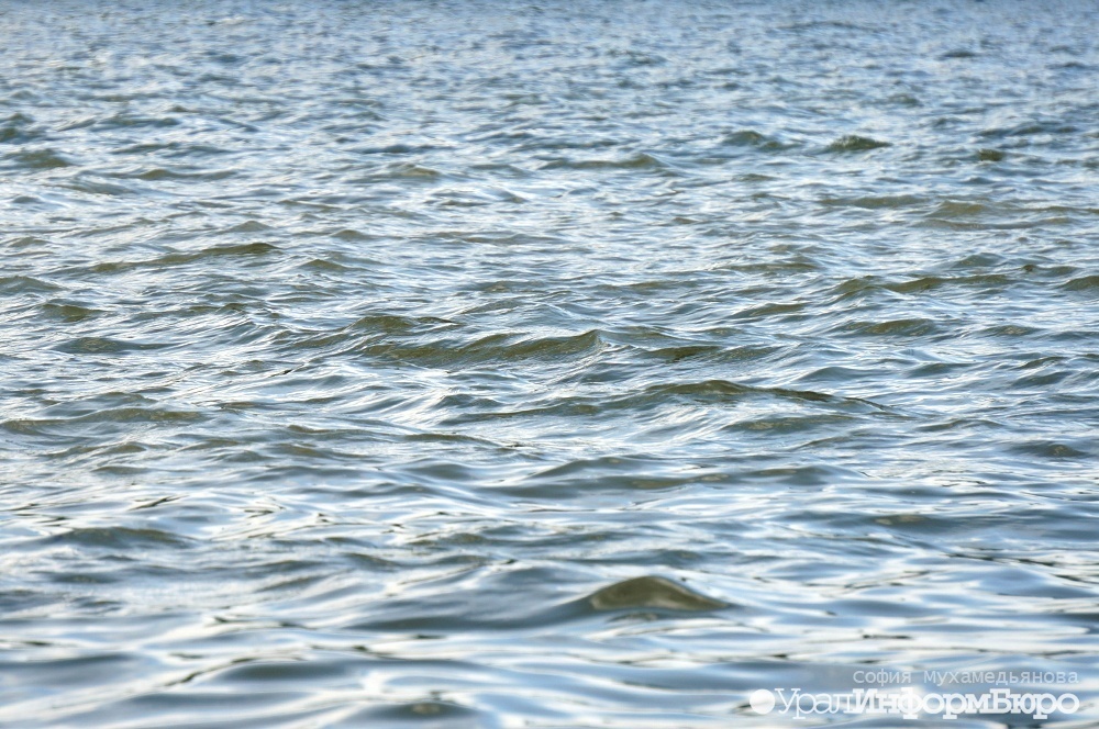 Вода в Сене на Олимпиаде продолжает быть официально тошнотворной