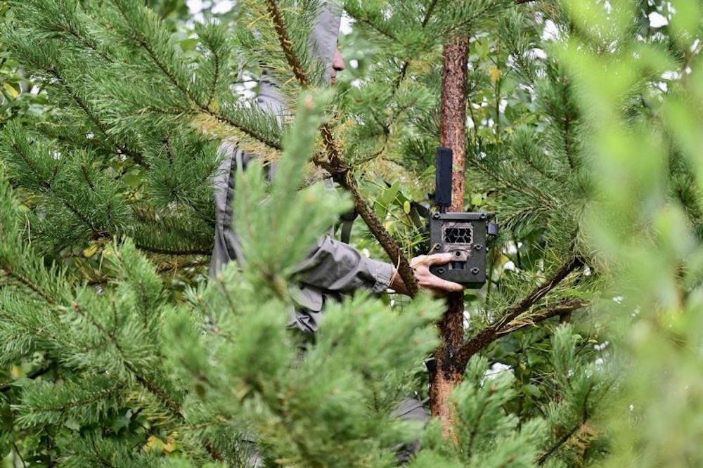 Поджигателей свердловских лесов будут ловить с помощью видеокамер