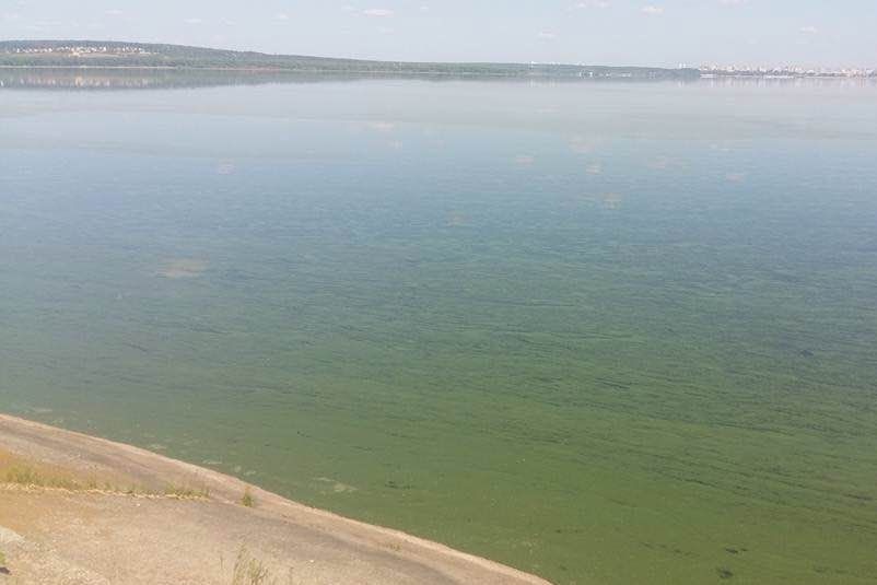 Фото водохранилище шершневское водохранилище