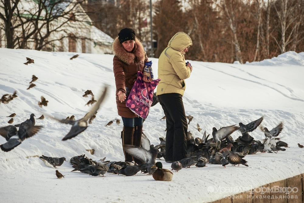 Январь сорок второго