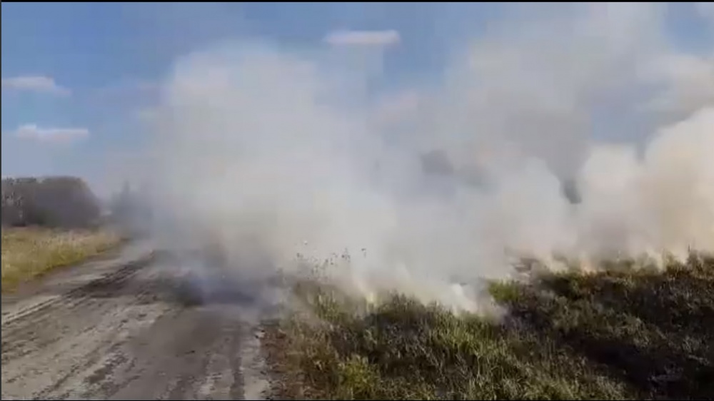 В окрестностях свердловской деревни разгорелся ландшафтный пожар