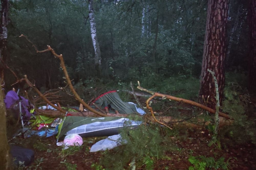 Девятилетнюю девочку из Свердловской области убило деревом на Тургояке